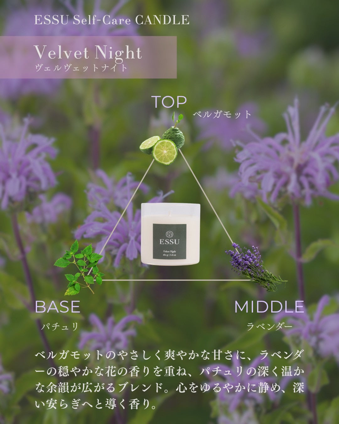 Velvet Night（ヴェルヴェットナイト）