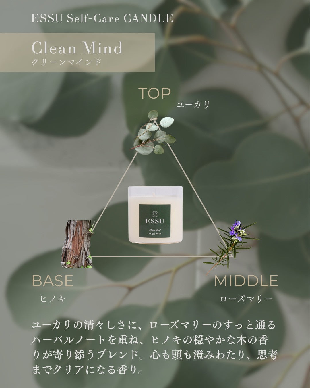 Clean Mind（クリーンマインド）
