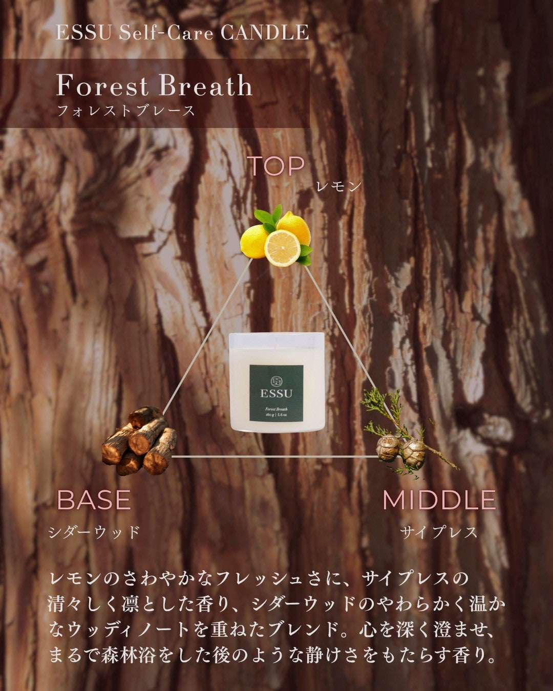 Forest Breath（フォレストブレース）