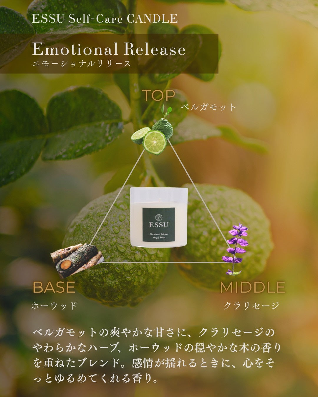 Emotional Release （エモーショナルリリース）